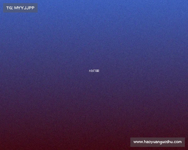 nbl1直播 nbl1直播