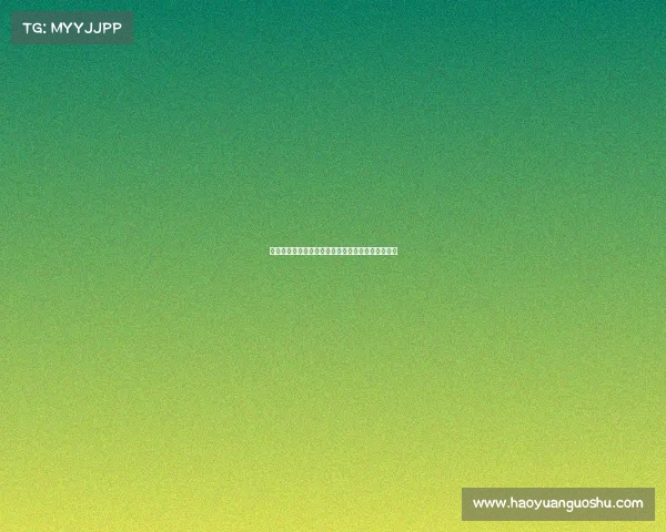 英超赛事近日焦点赛事深度剖析与精彩回顾前瞻一览