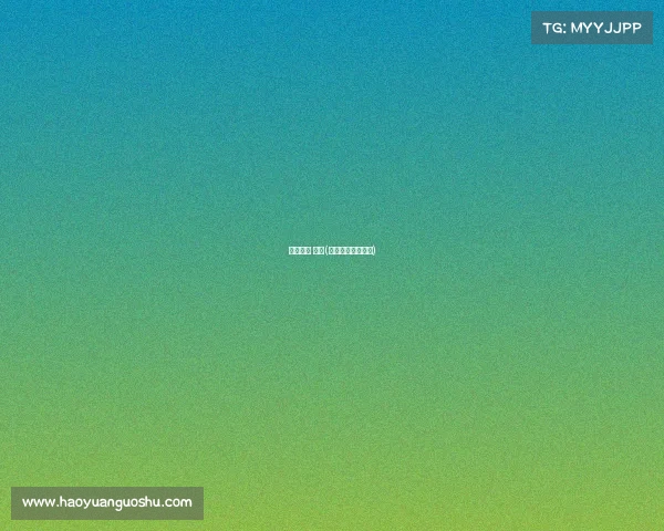 赛事体系 英文(赛事文化英文翻译)