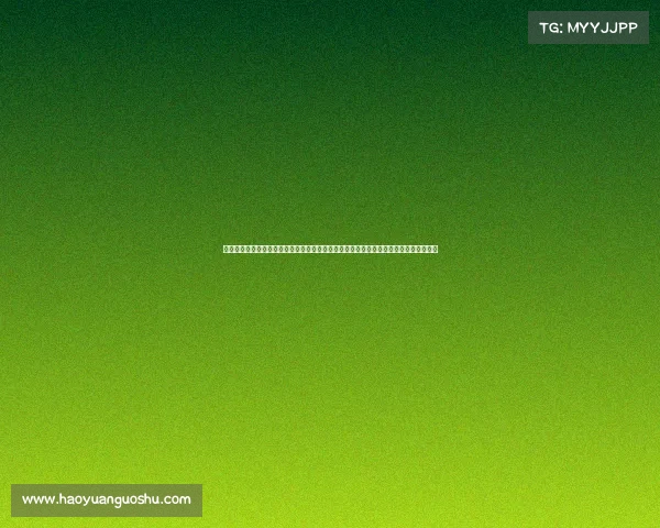 马尼拉最新搏击赛事、马尼拉搏击赛事最新火爆对决世界各地格斗精英齐聚争夺至高荣耀