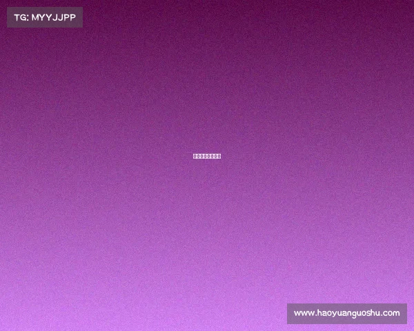 濠江风云中文弹幕