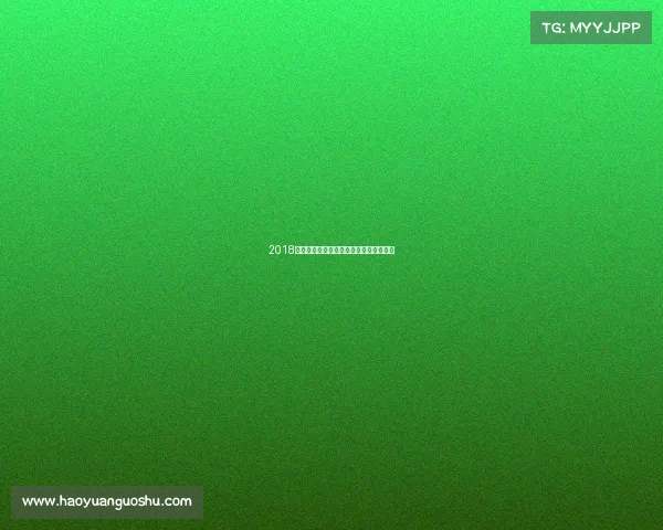 2018全年跑步赛事精彩回顾日程安排完整指南